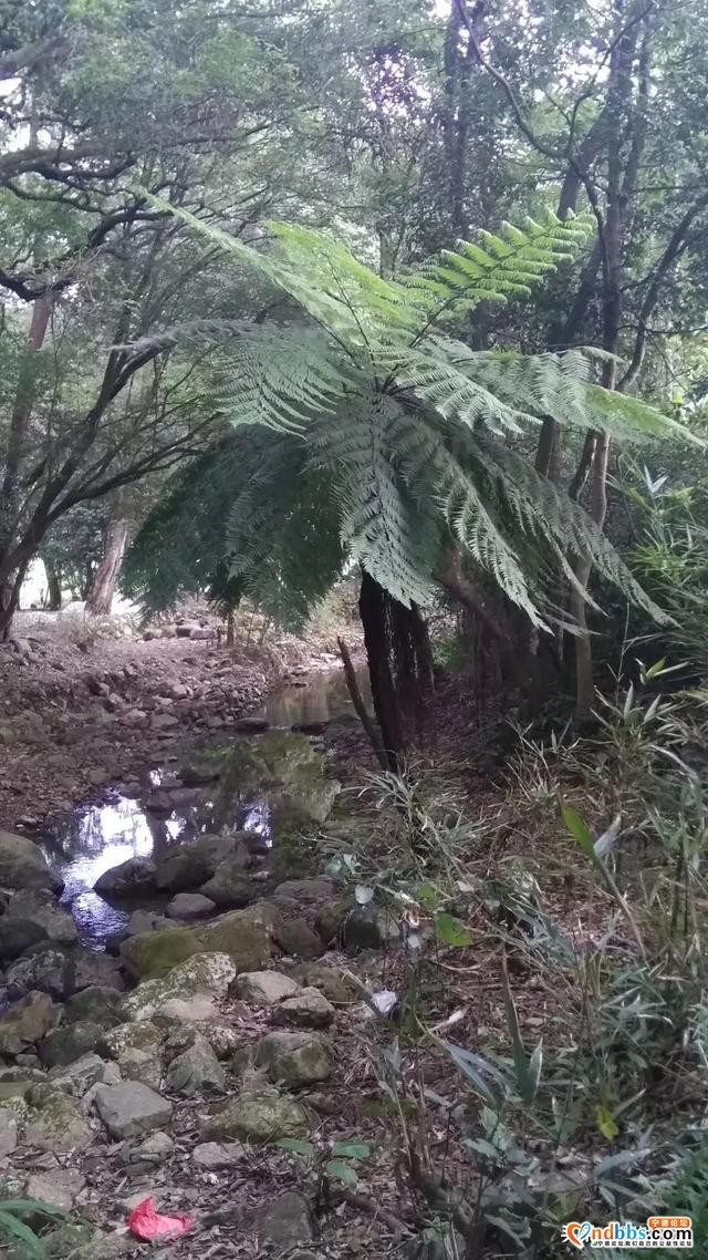 宁德八都闽坑村和洋头村，闽东信仰多元化的原因是啥呢-6.jpg