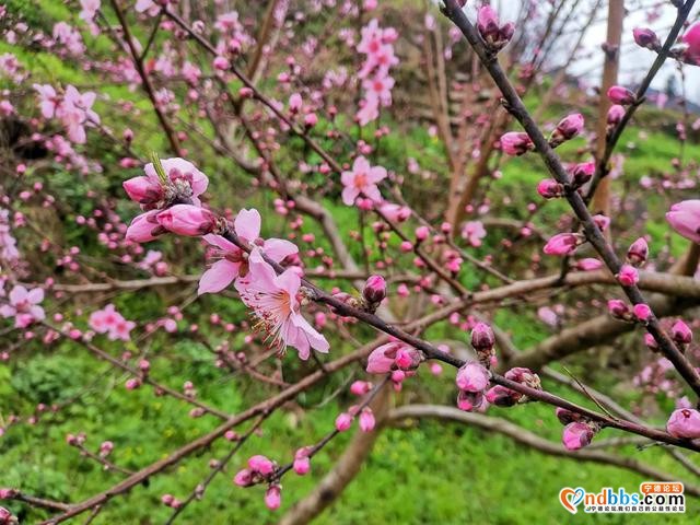 福建最最好吃的小城，小众到0攻略，却被《早餐中国》挖出来了-9.jpg