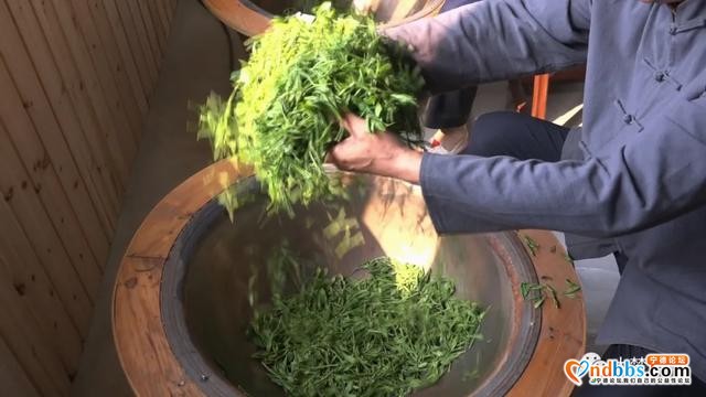 赤溪龟山春茶飘香，有何秘诀？跟着传承人学技艺~-4.jpg