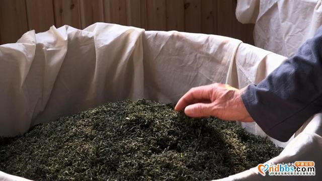 赤溪龟山春茶飘香，有何秘诀？跟着传承人学技艺~-7.jpg