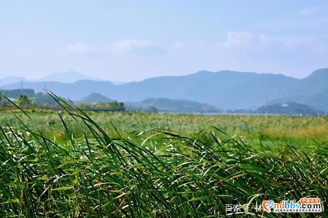 蕉城七都镇美景-3.jpg