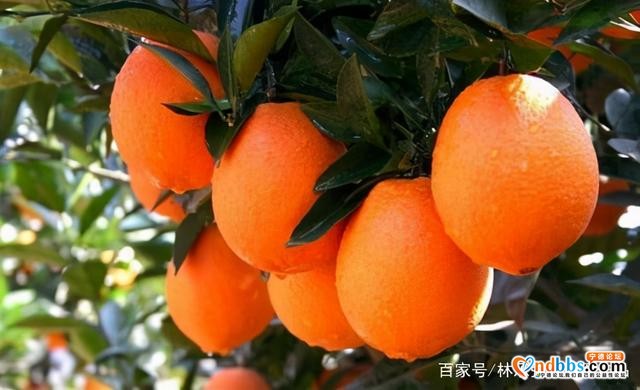 蕉城七都镇美景-7.jpg