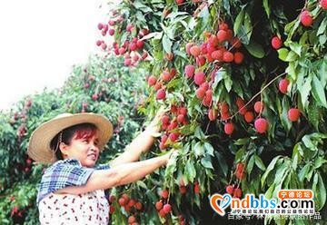 蕉城七都镇美景-8.jpg