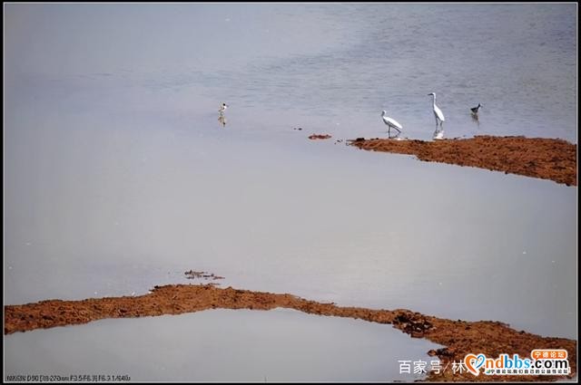 蕉城七都镇美景-9.jpg