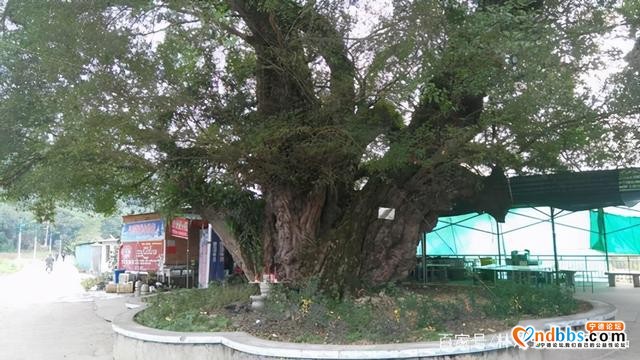 蕉城七都镇美景-13.jpg