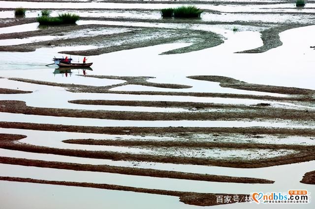 蕉城七都镇美景-15.jpg