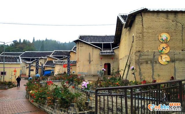 宁德周宁：四季花村龙住院，山清水秀-6.jpg