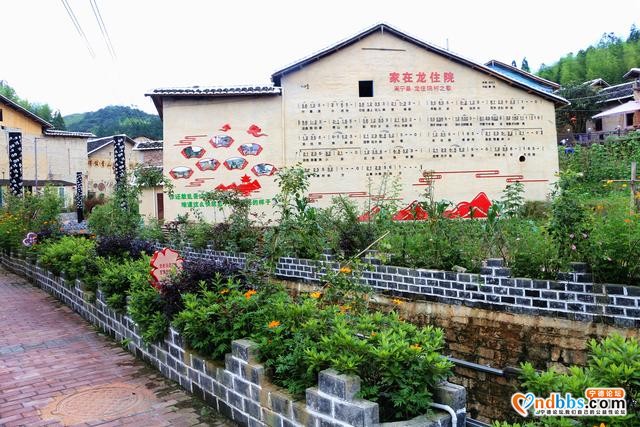 宁德周宁：四季花村龙住院，山清水秀-2.jpg