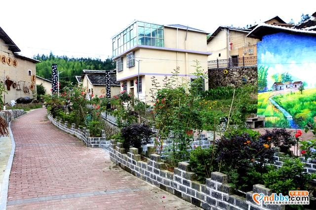 宁德周宁：四季花村龙住院，山清水秀-4.jpg