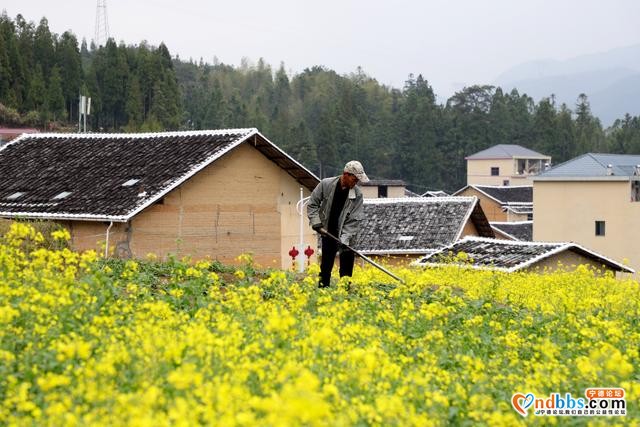 宁德周宁：四季花村龙住院，山清水秀-5.jpg