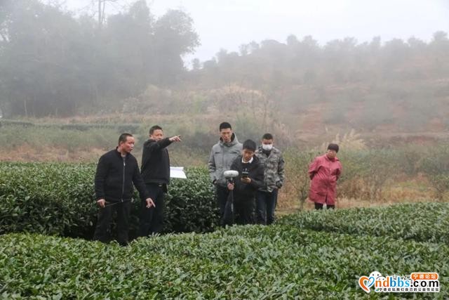 项目大提速 跑出新速度-9.jpg