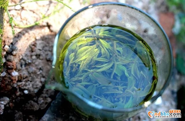 百茶百味 | 这款超小众绿茶香飘四海，张天福曾为其题词，品牌价值19.19亿-12.jpg