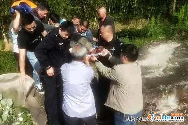 八旬老人上山采笋失联60小时！警民联动搜山救人-1.jpg