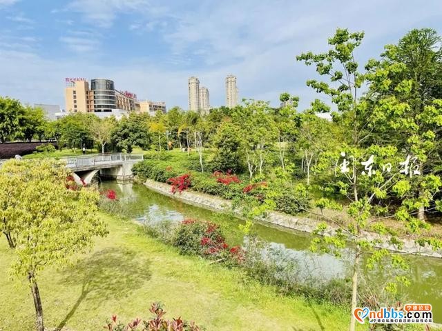 春意盎然，宁德市区公园美如画-2.jpg
