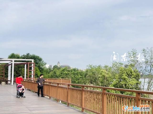 春意盎然，宁德市区公园美如画-5.jpg
