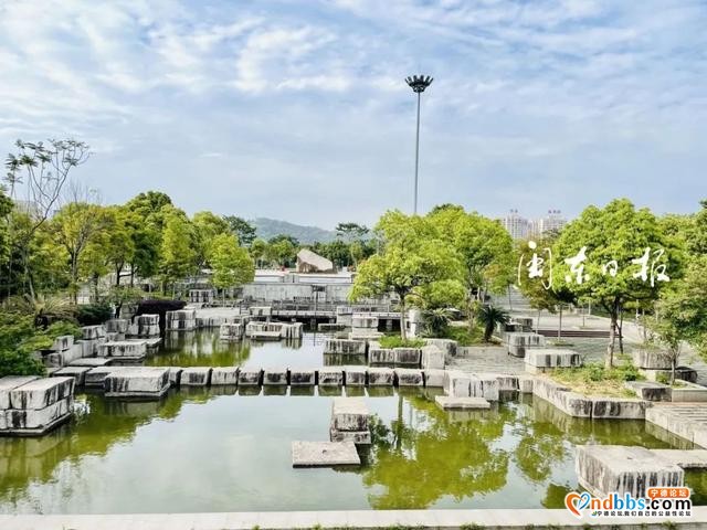 春意盎然，宁德市区公园美如画-7.jpg