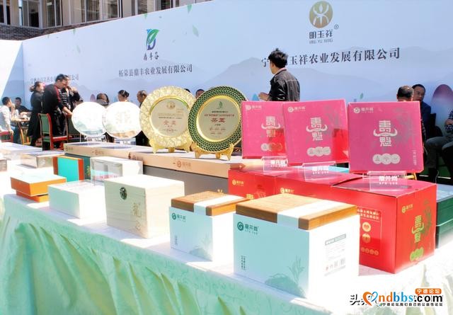 柘荣县举行“福来福往 爱上‘柘’里”主题宣传推介活动-7.jpg