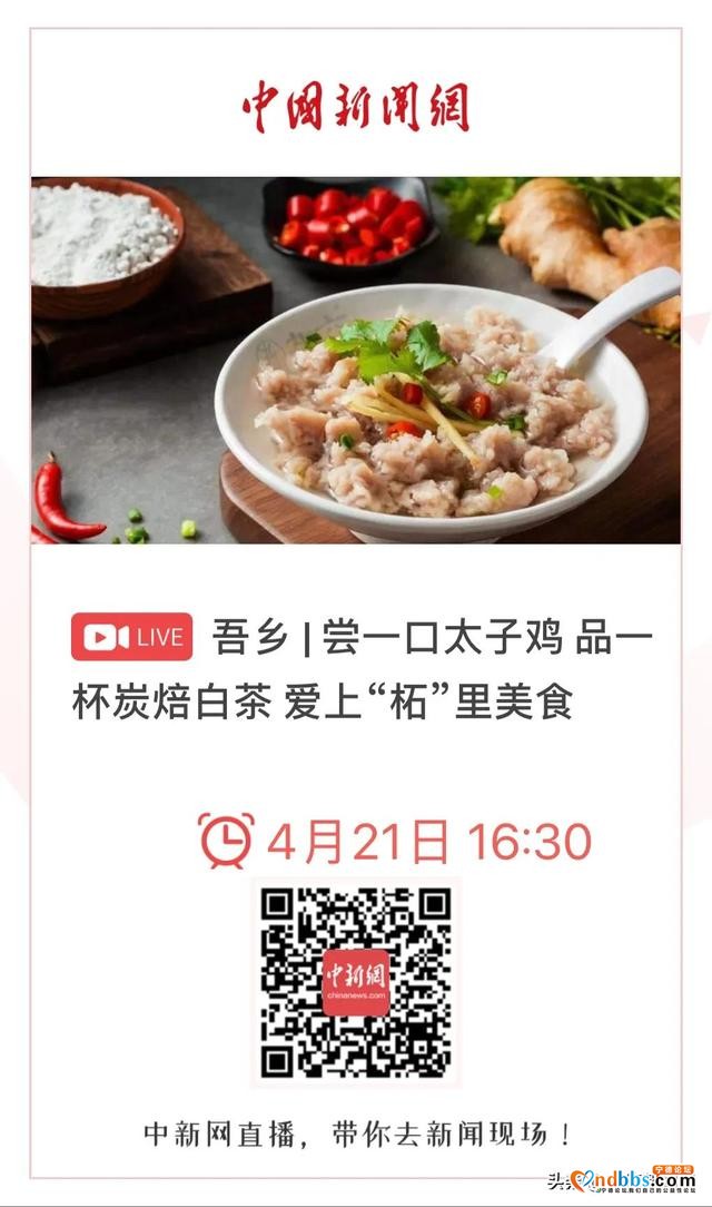 「今日16:30」中新网直播：吾乡丨尝一口太子鸡 品一杯炭焙白茶 爱上“柘”里美食-1.jpg