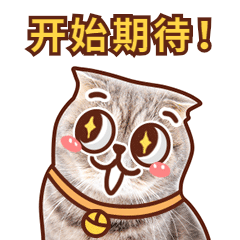 “聚焦一线 体验劳动”第二站，走进周宁-23.jpg