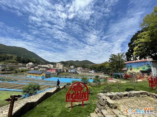 云游宁德｜剪纸、油画……快来打卡柘荣这个“清新乡野”吧-7.jpg