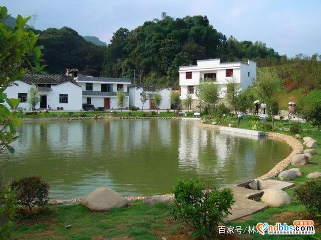 蕉城金涵乡美景-2.jpg
