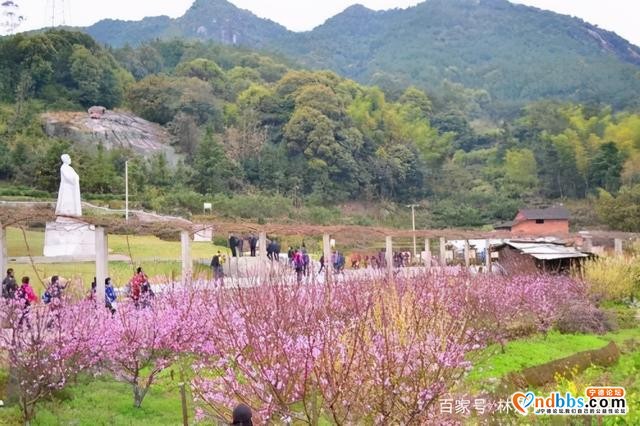 蕉城金涵乡美景-4.jpg