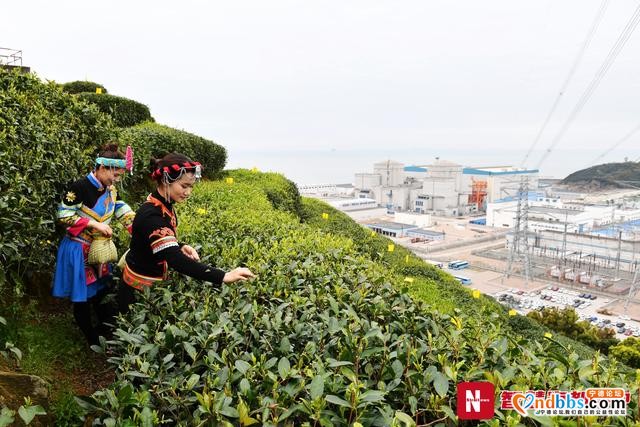 引领福建清洁能源革命！宁德核电助力脱贫攻坚-4.jpg