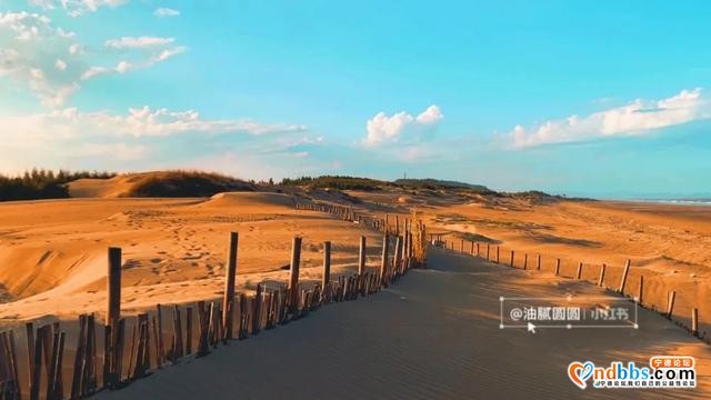 出片率高达90%的“撒哈拉沙漠”分漠！宁德出发仅1.5h-7.jpg