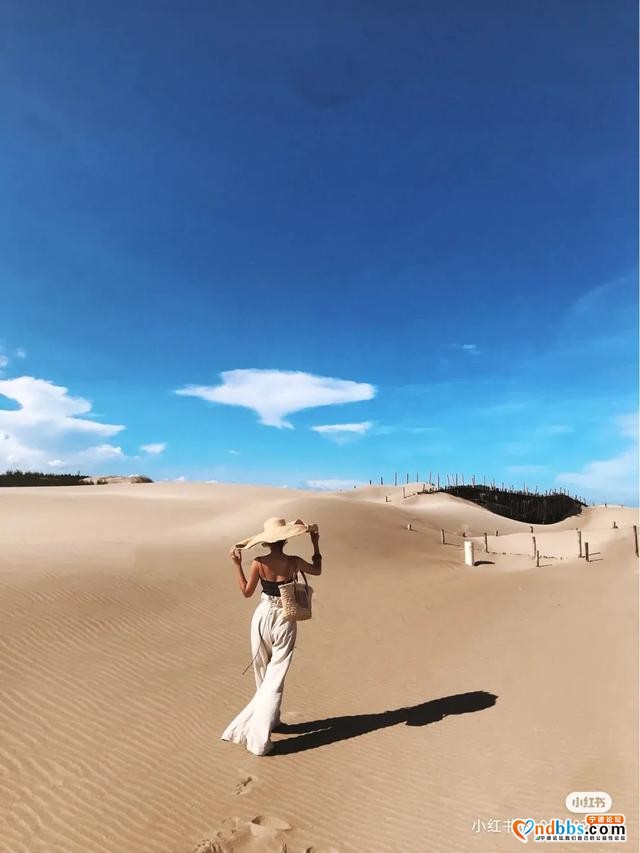 出片率高达90%的“撒哈拉沙漠”分漠！宁德出发仅1.5h-8.jpg