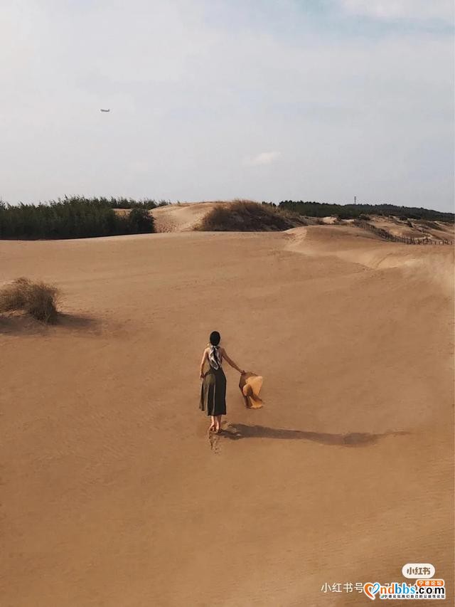 出片率高达90%的“撒哈拉沙漠”分漠！宁德出发仅1.5h-16.jpg