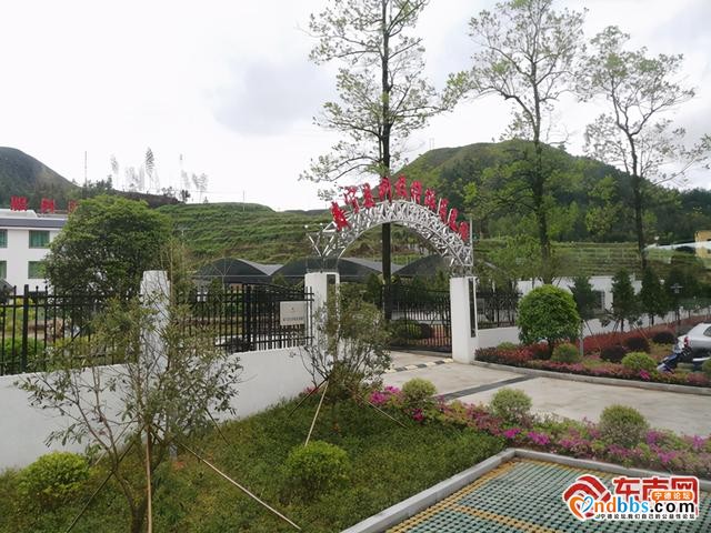 寿宁科技特派员：以科技星火 燎原乡村振兴-1.jpg