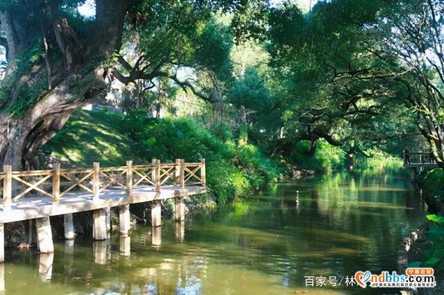 蕉城九都镇美景-4.jpg