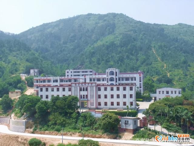 蕉城九都镇美景-1.jpg