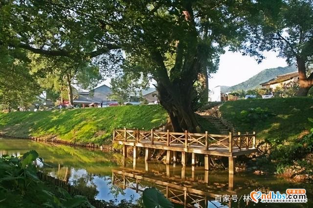 蕉城九都镇美景-3.jpg