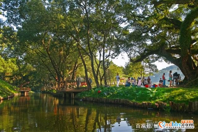 蕉城九都镇美景-12.jpg