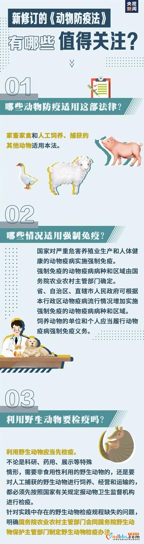 宁德养狗的人们注意了！5月1日起，违者重罚-9.jpg