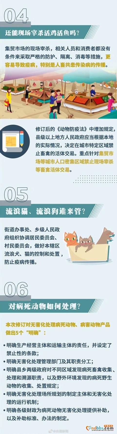 宁德养狗的人们注意了！5月1日起，违者重罚-10.jpg