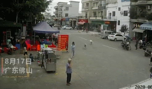 宁德养狗的人们注意了！5月1日起，违者重罚-17.jpg