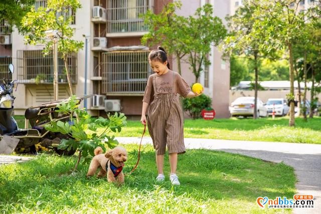 宁德养狗的人们注意了！5月1日起，违者重罚-22.jpg