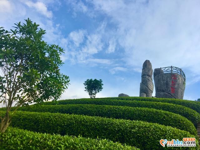 清新福建｜宁德柘荣宅中：后垅醉美茶园-1.jpg