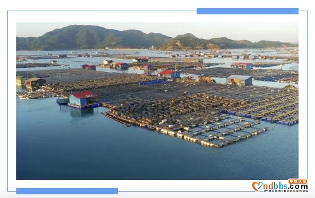 踏春出海寻渔趣，拜访神秘“游耕民族”，跟着书本《探秘闽东》-5.jpg