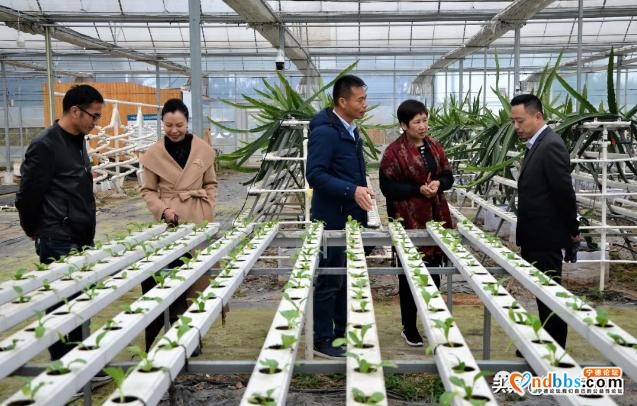 宁德市委统战部赴蕉城等地开展发挥港澳台侨优势 助力宁德发展工作调研-5.jpg