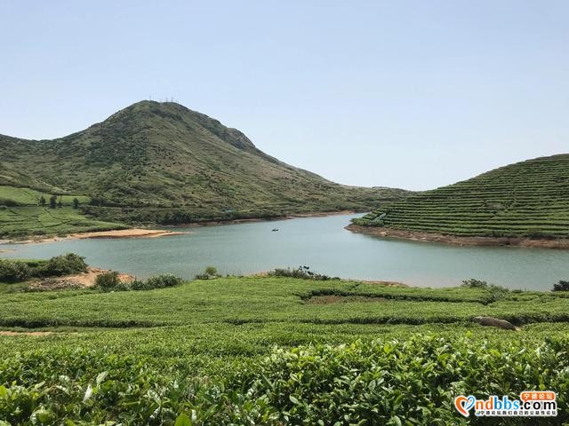 孟春走进福建宁德福鼎-9.jpg