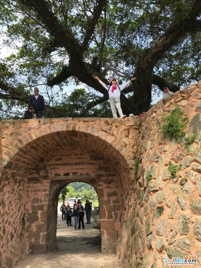 孟春走进福建宁德福鼎-11.jpg