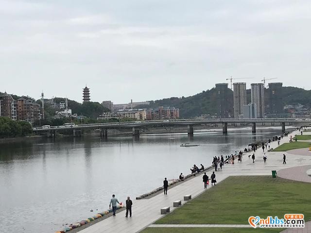 孟春走进福建宁德福鼎-16.jpg