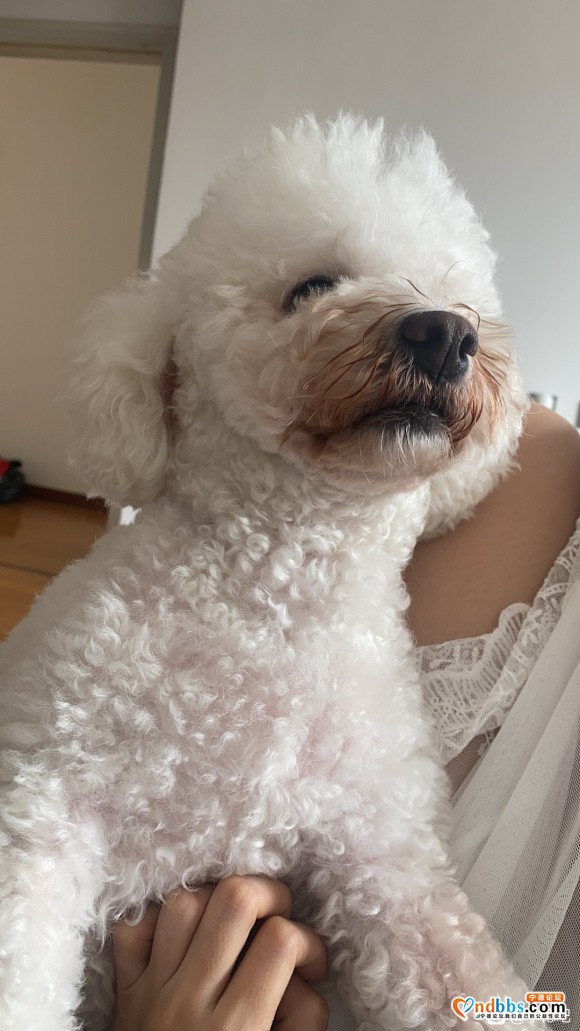 晚上6点左右在大润发附近走丢 有看见的请联系我 176966-1.jpg