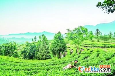 福建：八闽大地奏响高质量发展最强音-1.jpg