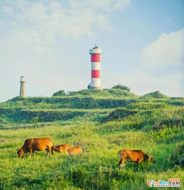 福建内鲜少人知的小众旅游地，带你避开人从众-37.jpg