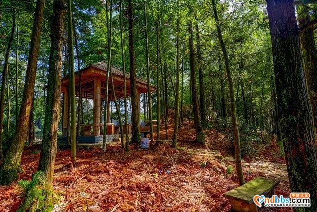 福建内鲜少人知的小众旅游地，带你避开人从众-44.jpg