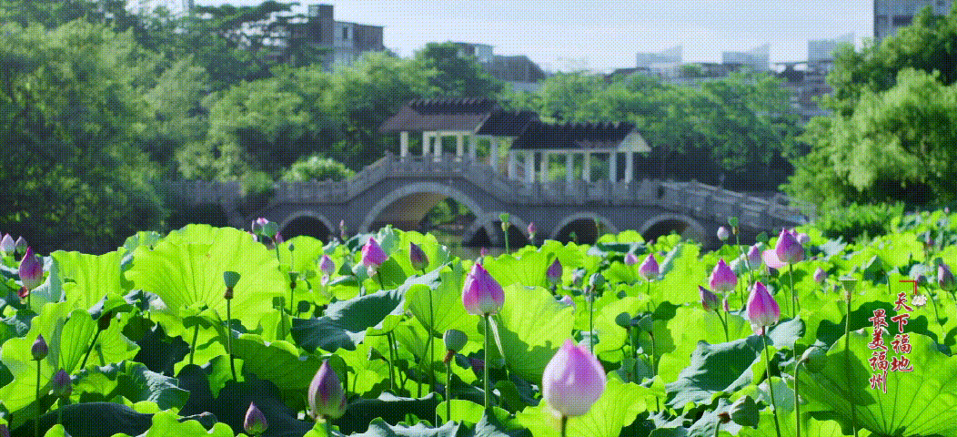 丫霸！福州上榜“中国百强城市”！排名省内最高-12.jpg